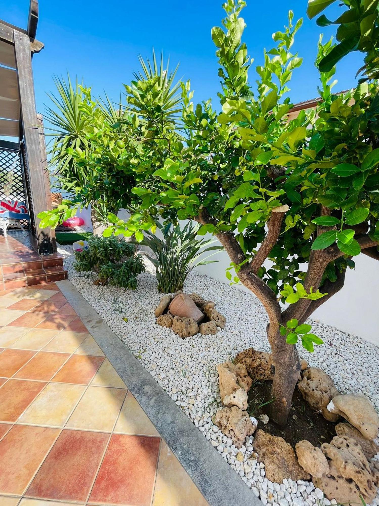 Villa I Mori Di Noro Valderice Dış mekan fotoğraf